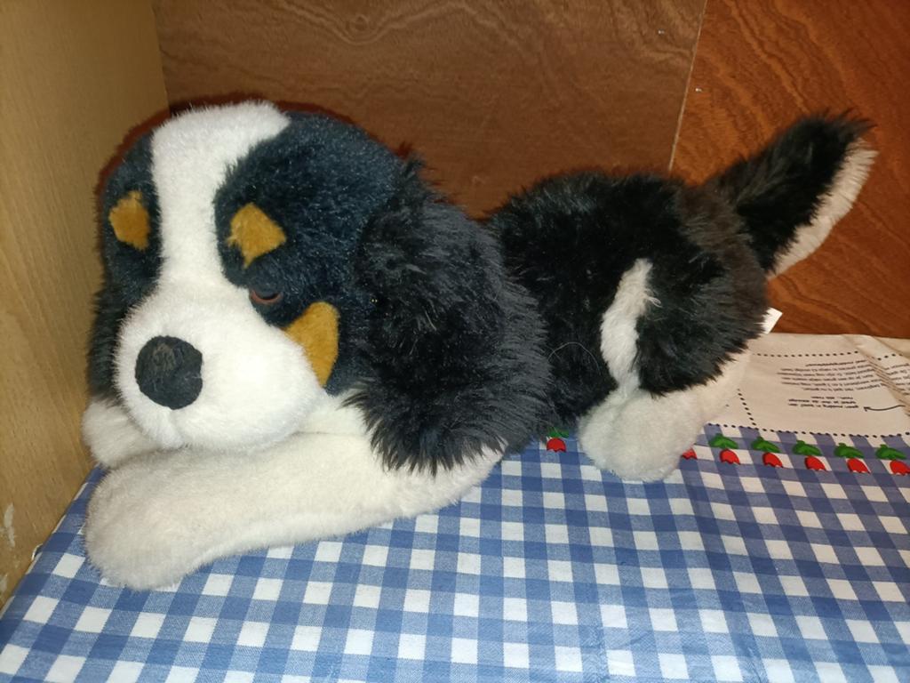 Berner Sennen knuffel hond Evora 47 cm groot, Kinderen en Baby's, Speelgoed | Knuffels en Pluche, Zo goed als nieuw, Ophalen of Verzenden