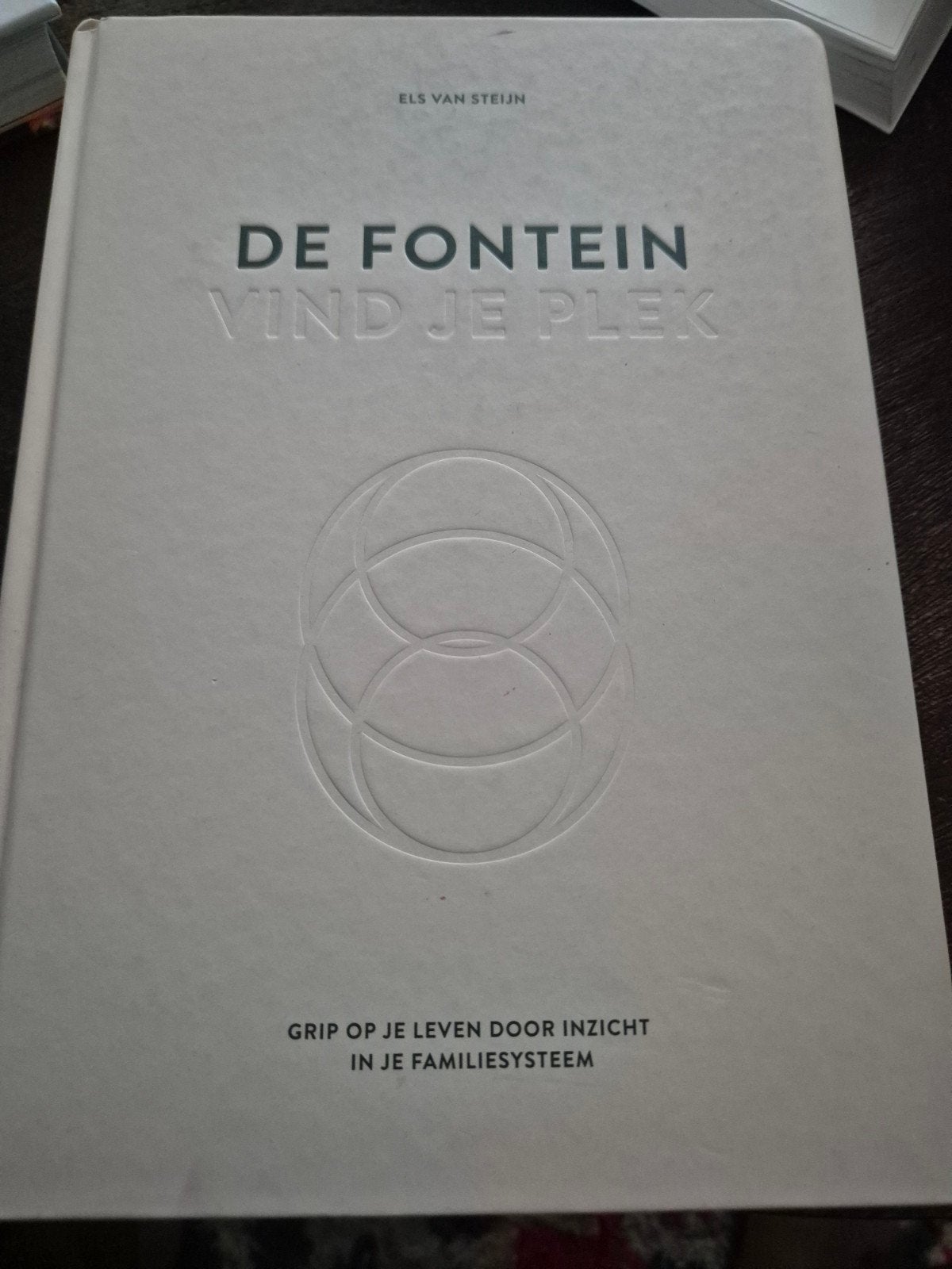 De Fontein: Vind je plek - Els van Steijn, Ophalen of Verzenden, Zo goed als nieuw, Els van Steijn