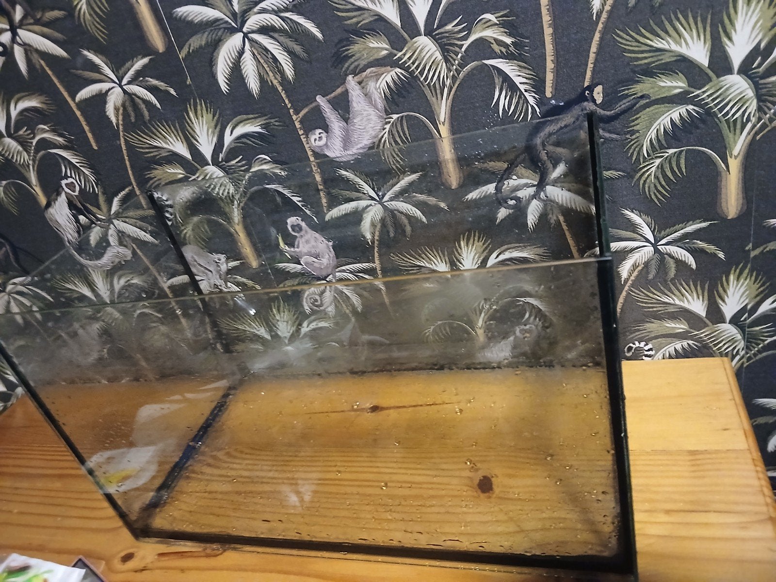 aquarium 65liter, Dieren en Toebehoren, Ophalen of Verzenden