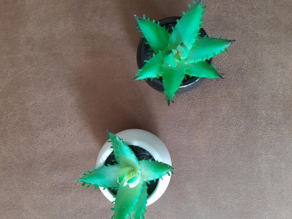 *TUINLAND CACTUS 2 VOOR 3 EURO*, Ophalen, Binnen, Groen, Kunstplant