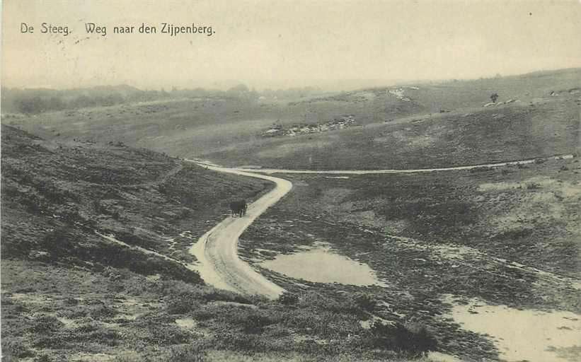377-410-003 De Steeg Weg naar den Zijpenberg, Ophalen of Verzenden, Voor 1920, Gelderland