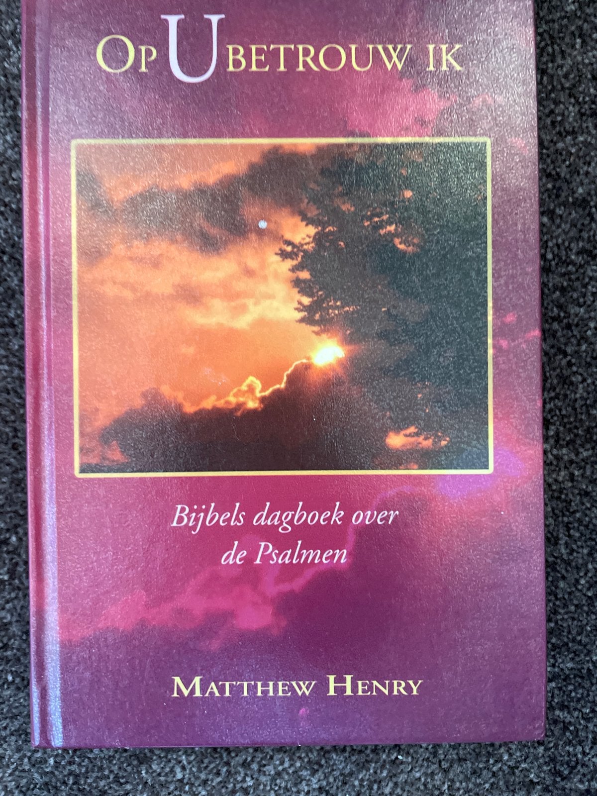 Op U betrouw Ik - Bijbels dagboek over de Psalmen, Ophalen of Verzenden, Zo goed als nieuw, Christendom | Protestants