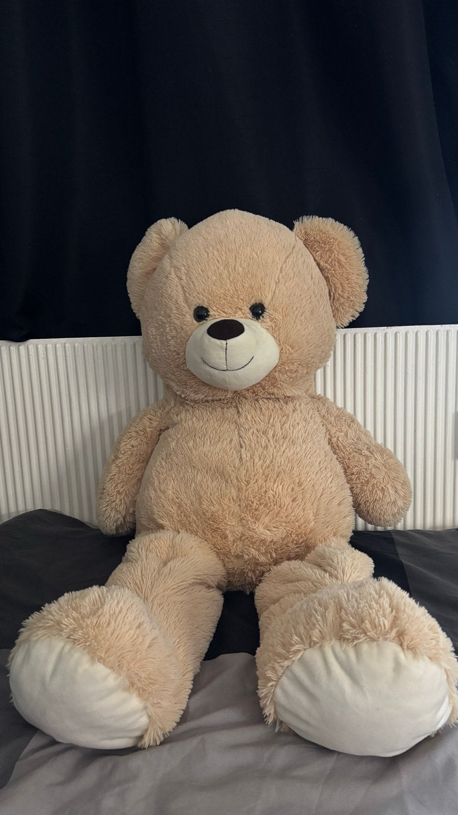 Grote zachte teddybeer - Perfect om te knuffelen!, Ophalen, Beer, Zo goed als nieuw, Middelgroot (20 tot 80 cm)