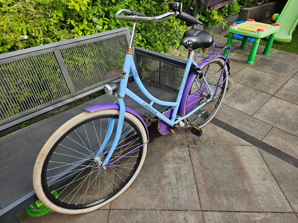 Opknap fiets, 55 cm of meer, Ophalen, Gebruikt, Minder dan 10 versnellingen