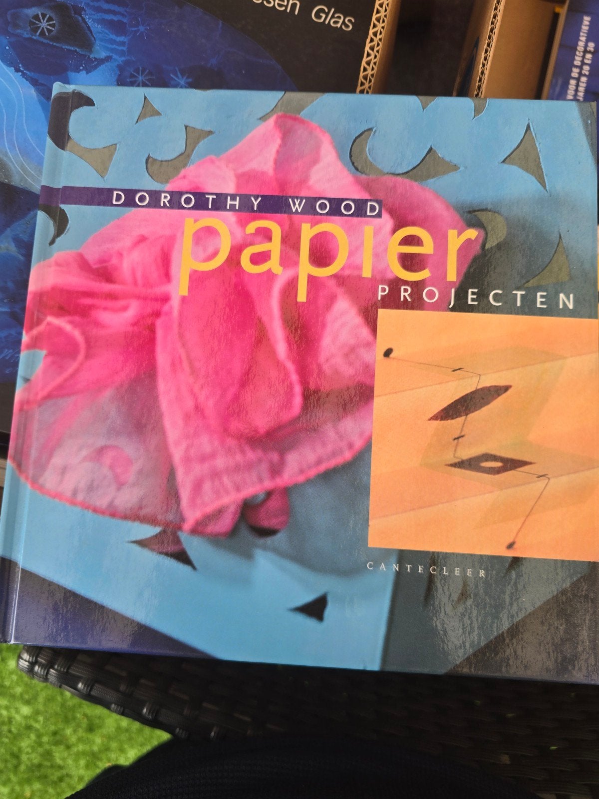 Dorothy Wood - Papier Projecten (Canteclere) (DOOS 7), Ophalen of Verzenden, Gelezen, Scrapbooking en Knutselen, Dorothy Wood