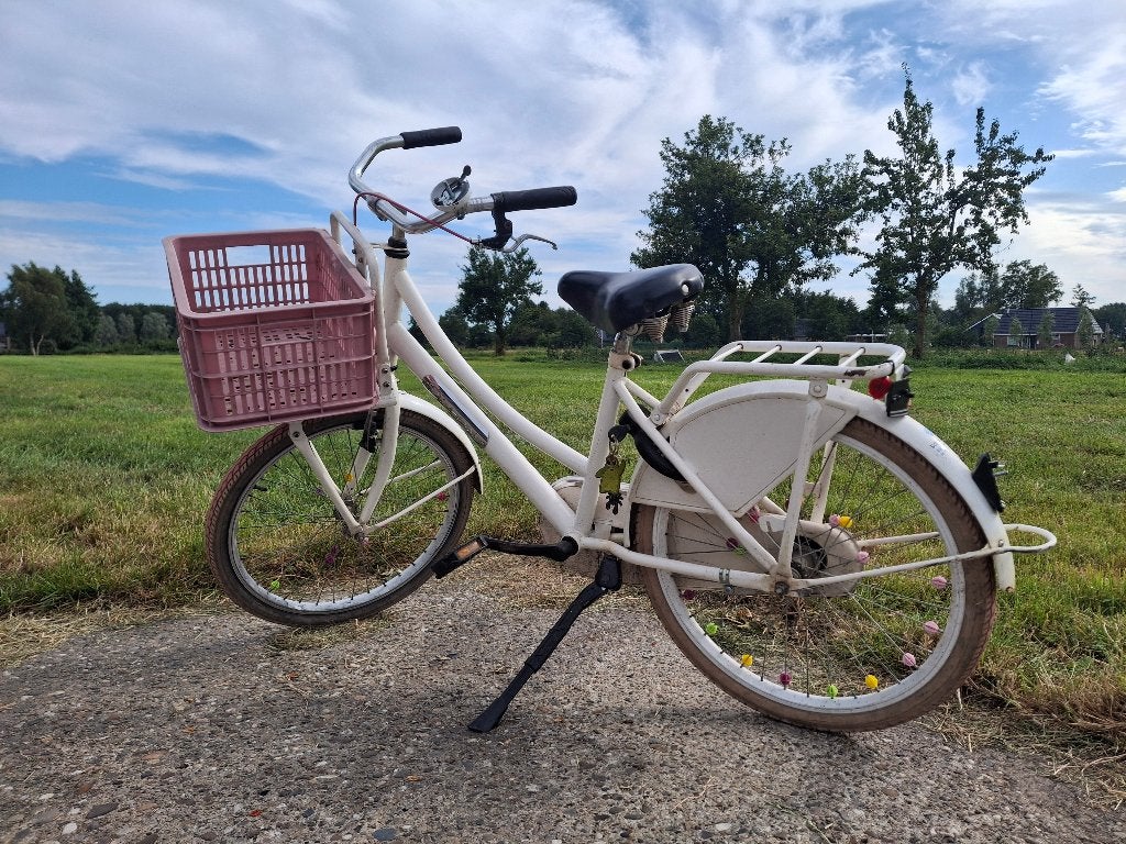 Meisjesfiets, Ophalen, Gebruikt, 22 inch