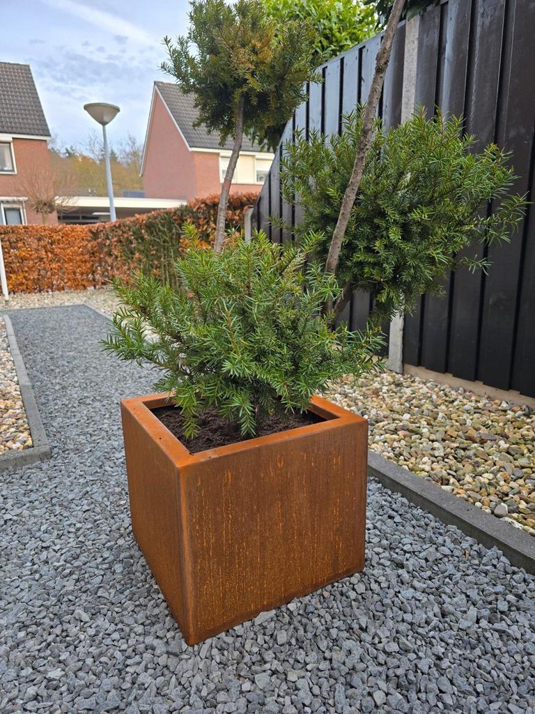 Cortenstaal bloembak 50x50x45, Ophalen of Verzenden, Zo goed als nieuw, Metaal