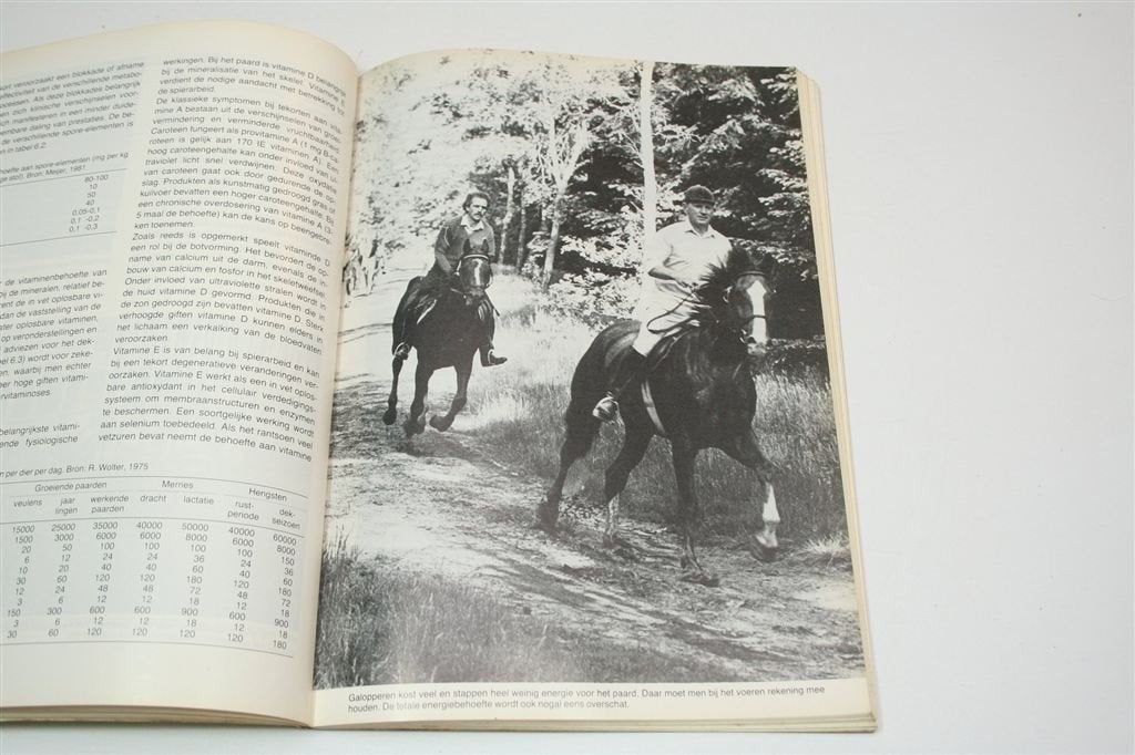 Paardenhouderij Praktisch — Verzorging Training Fokkerij, Boeken, Ophalen of Verzenden, Gelezen, Honden