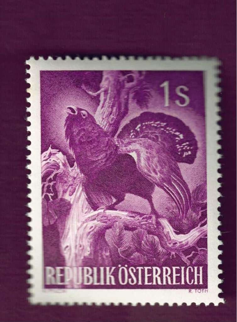 Fauna - Dieren - Auerhoen - Oostenrijk - 1 S. - postfris, Ophalen of Verzenden, Postfris, Dier of Natuur