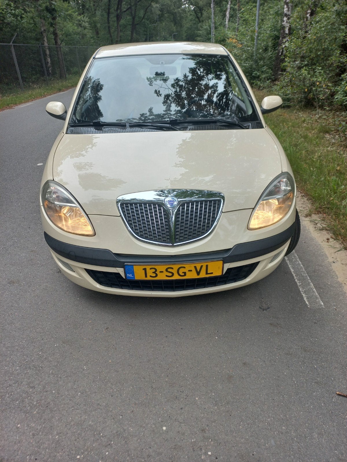 Lancia ypsilon occasion 1.4 te koop, Voorwielaandrijving, 4 cilinders, 400 kg, Beige