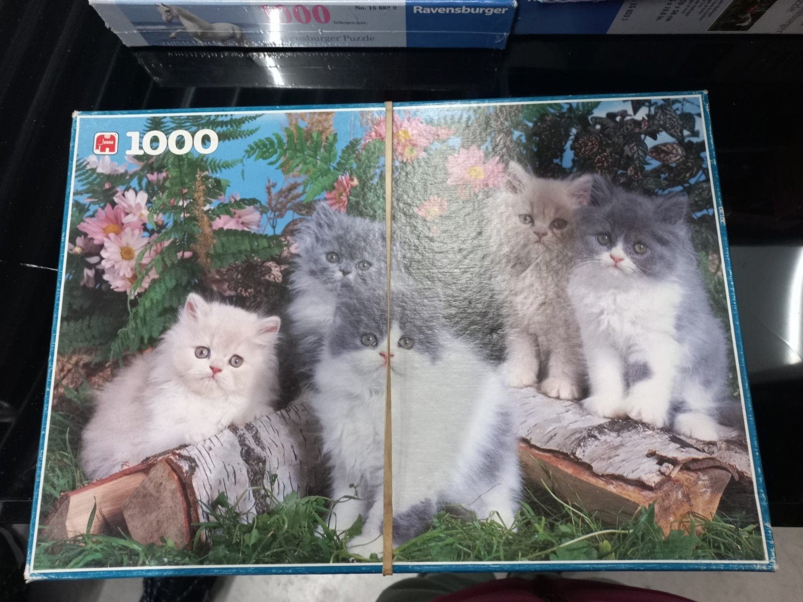 Legpuzzel 1000 stukjes met schattige kittens, Ophalen, 500 t/m 1500 stukjes, Zo goed als nieuw, Legpuzzel