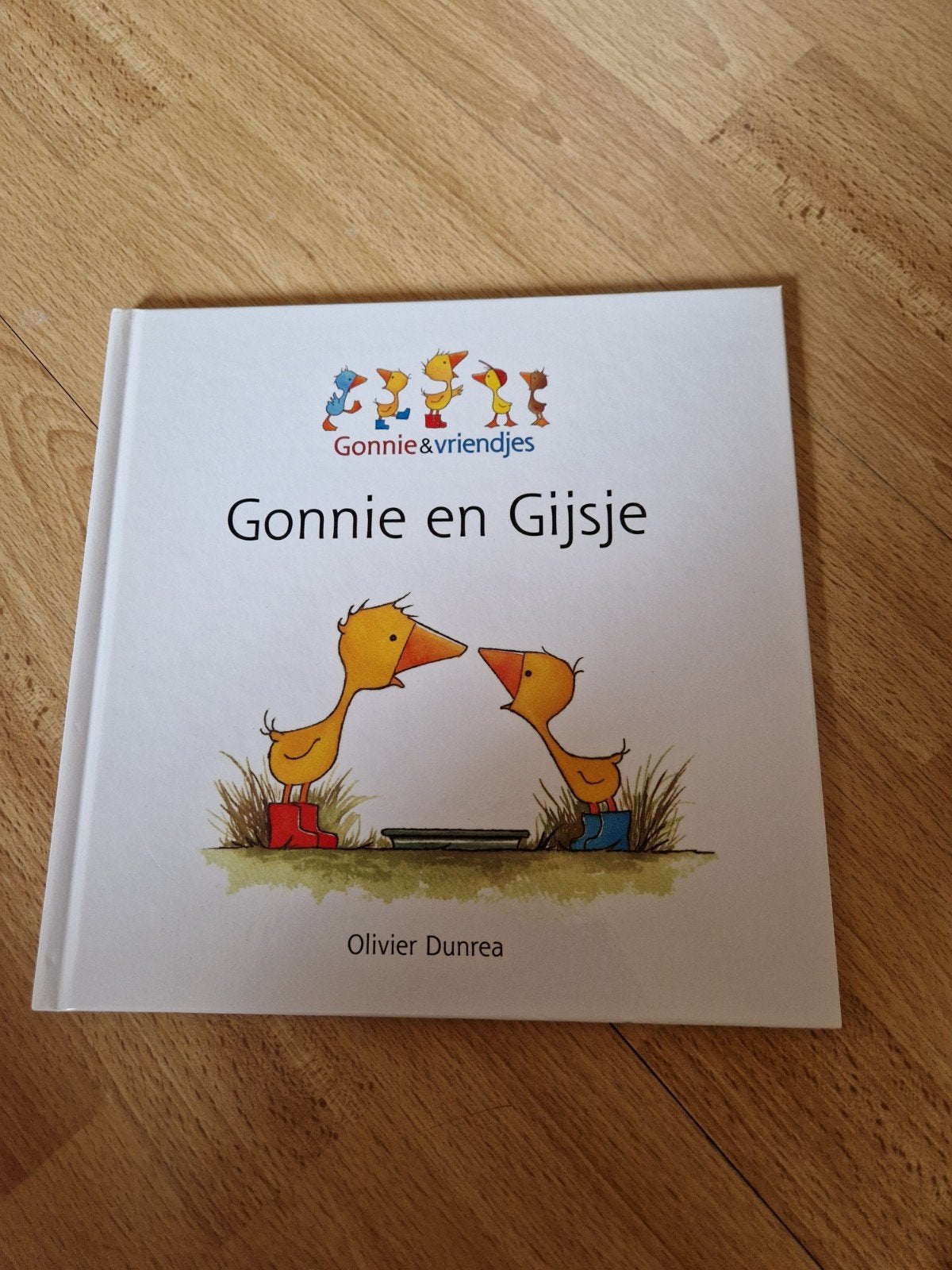 Kinderboek "Gonnie en Gijsje", Ophalen of Verzenden, Nieuw, 2 tot 3 jaar