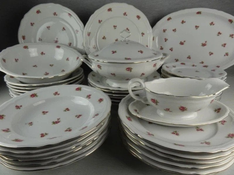 Koffie- en Dinerservies Marie Luise Bavaria met roze roosjes, Ophalen of Verzenden