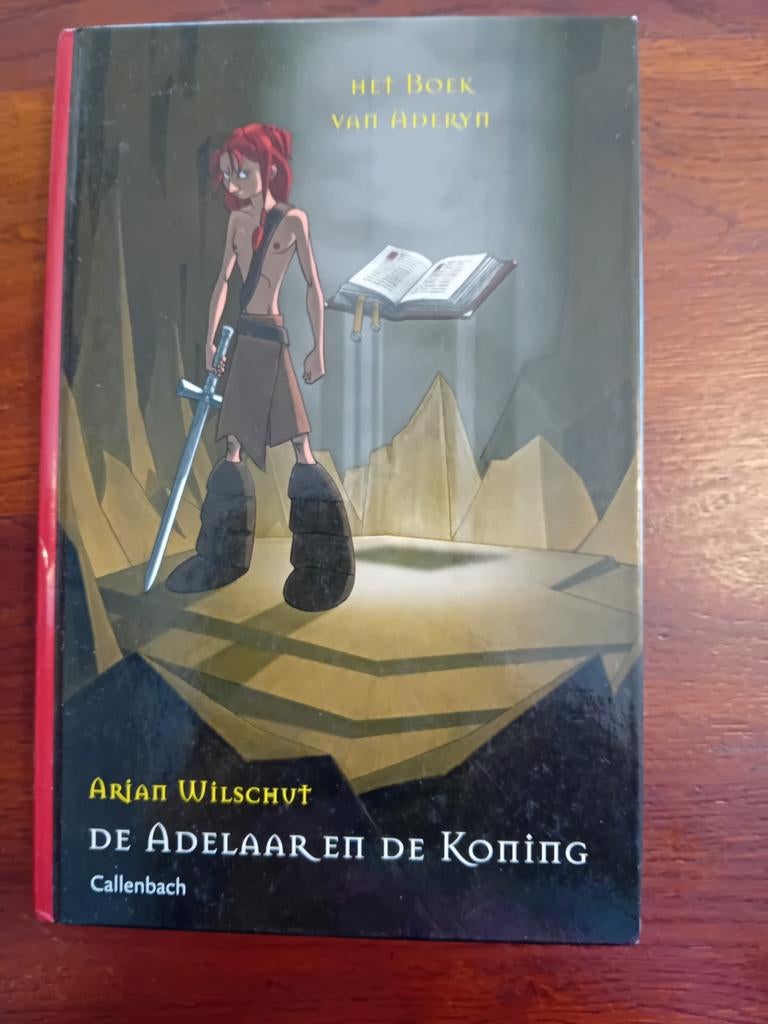 Het Boek van Aderyn - De Adelaar en de Koning, Ophalen of Verzenden, Gelezen, Arjan Wilschut