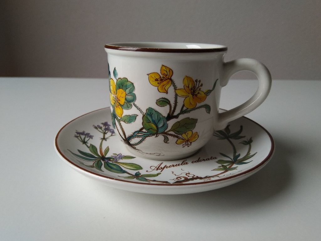 Botanica Villeroy & Boch kop en schotel, Huis en Inrichting, Keuken | Servies, Villeroy & Boch, Ophalen of Verzenden, Zo goed als nieuw