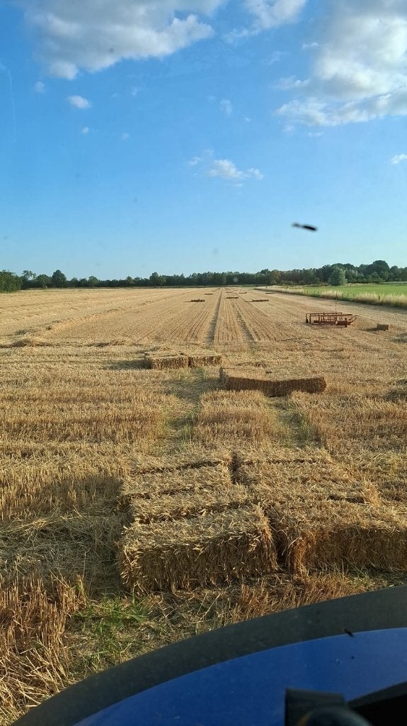 Kleine strobaaltjes, kleine balen stro, Ophalen, Vee