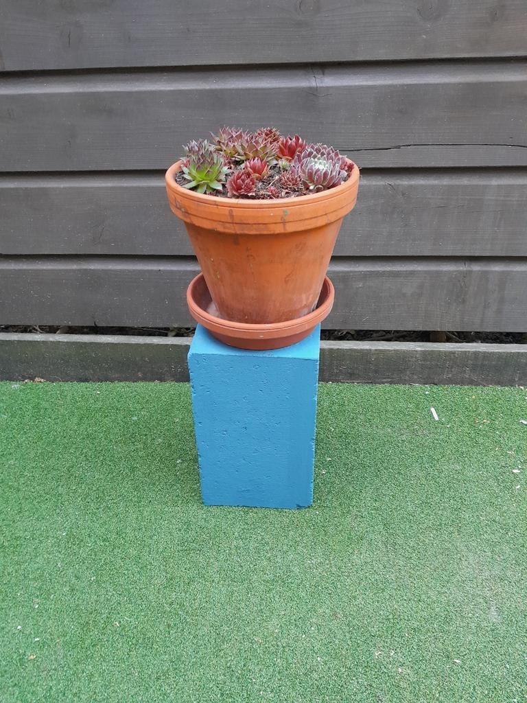 Blauwe plantenstandaard van beton met terracotta bloempot  e, Tuin en Terras, Bloembakken en Plantenbakken, Ophalen, Gebruikt
