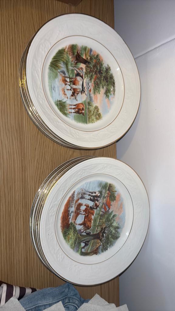 12 Vintage Borden met Koeienmotief en Gouden petrus regout, Ophalen of Verzenden