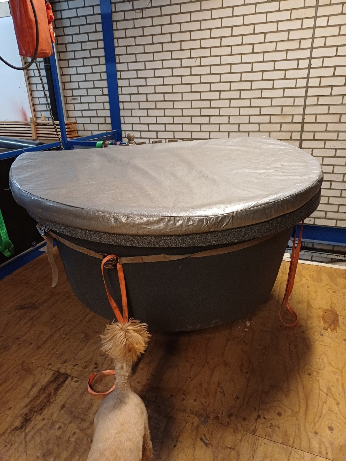 Hottub - Nieuwstaat, Tuin en Terras, Zwembaden, Ophalen, Rond, Nieuw, Minder dan 200 cm