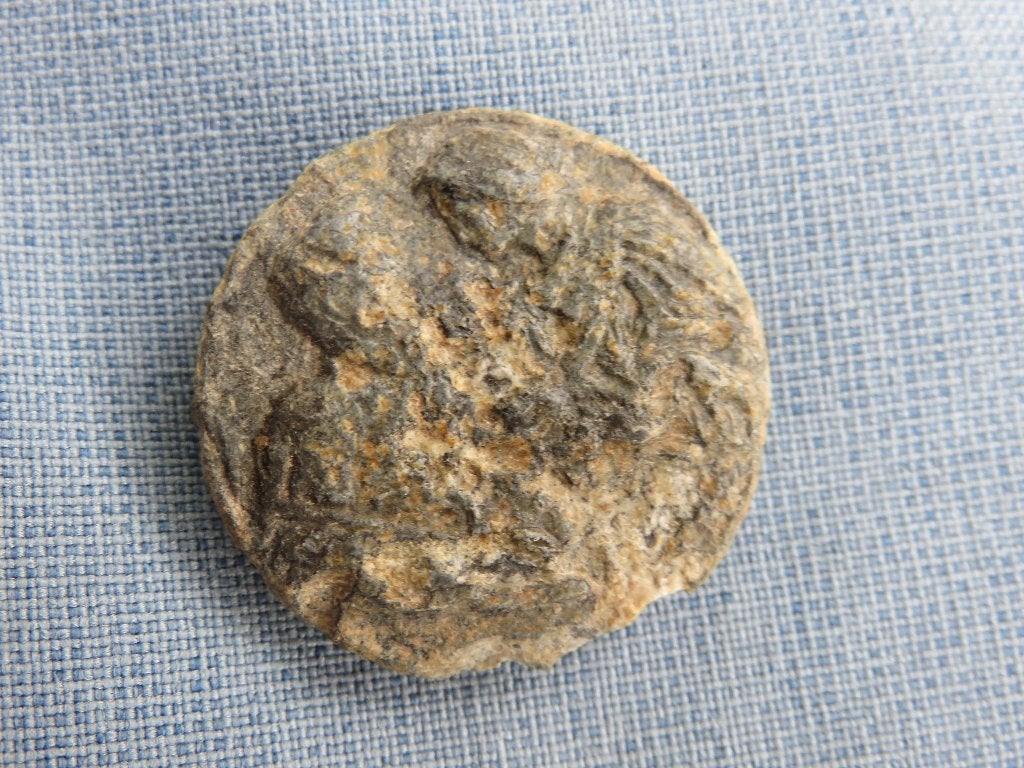 Schijf fibula in tin - 16e – 18e eeuw - bodemvondst, Ophalen of Verzenden, Overige materialen, Broche