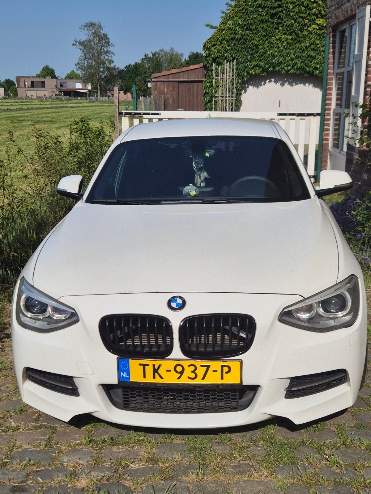 BMW 1-Serie 116i 136PK 5D 2015 Wit, Auto's, BMW, 1-Serie, 4 cilinders, Alcantara, Wit