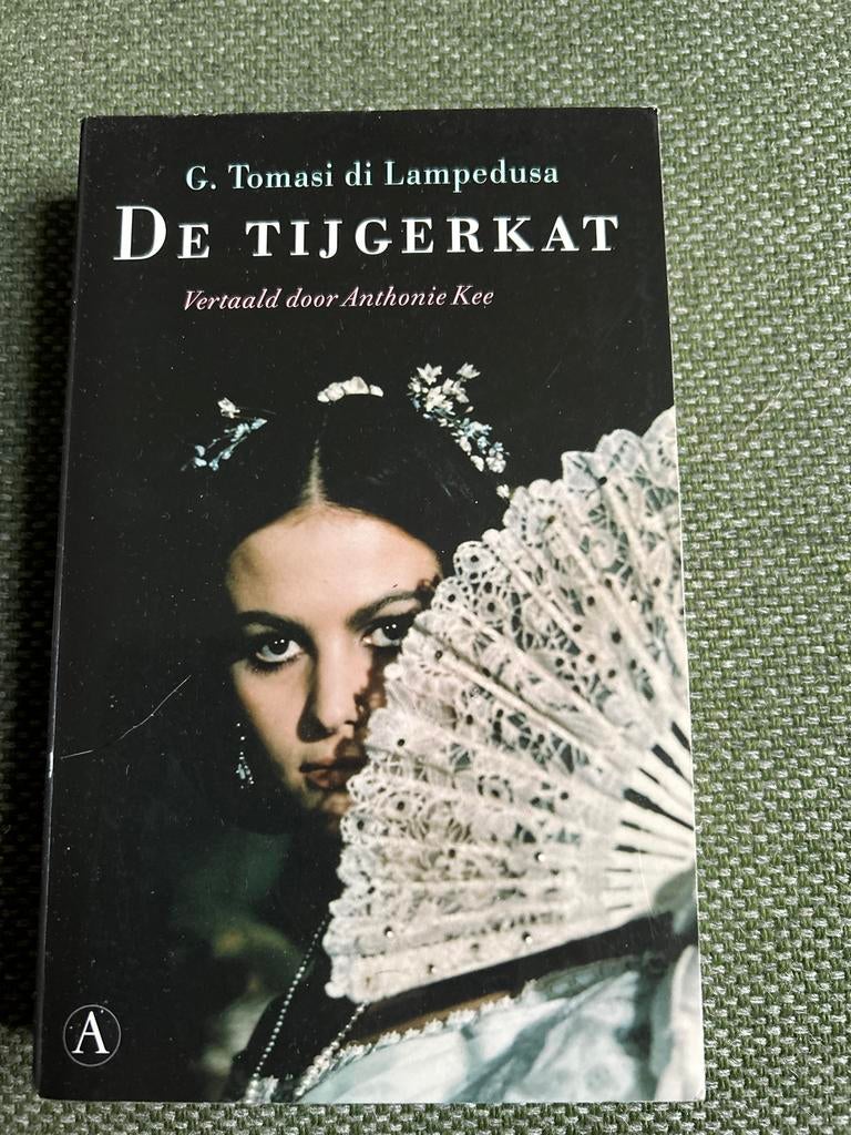 De Tijgerkat - G. Tomasi di Lampedusa, Boeken, Ophalen of Verzenden, Gelezen