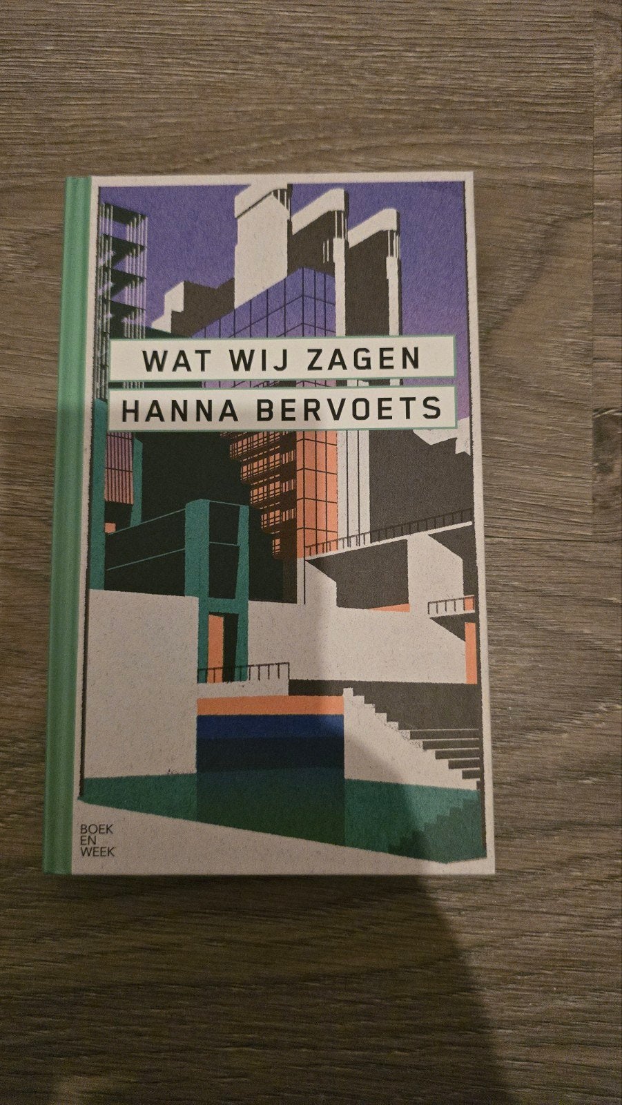 Wat Wij Zagen - Hanna Bervoets (Boek), Boeken, Ophalen of Verzenden, Zo goed als nieuw, Hanna Bervoets, Nederland