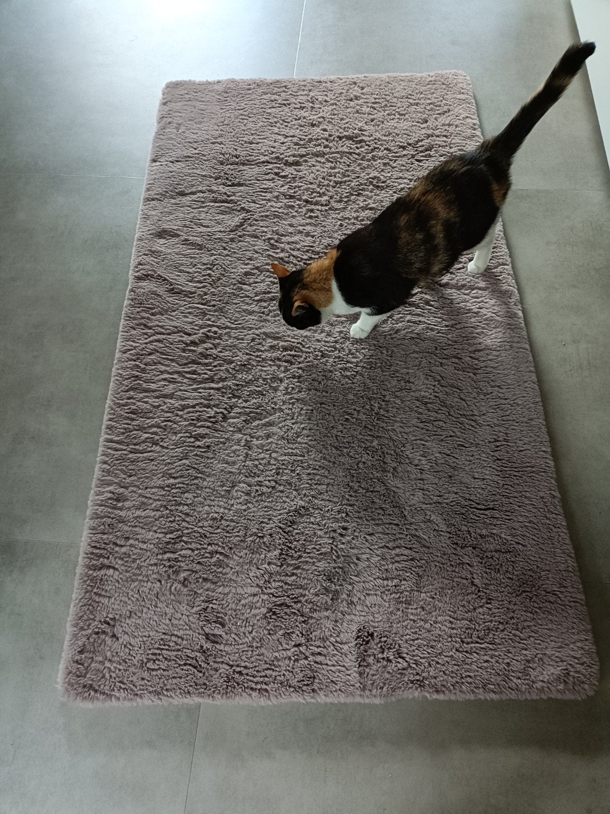 Origineel Hornbach vloerkleed - zacht en comfortabel, Ophalen, Gebruikt, 100 tot 150 cm, 50 tot 100 cm