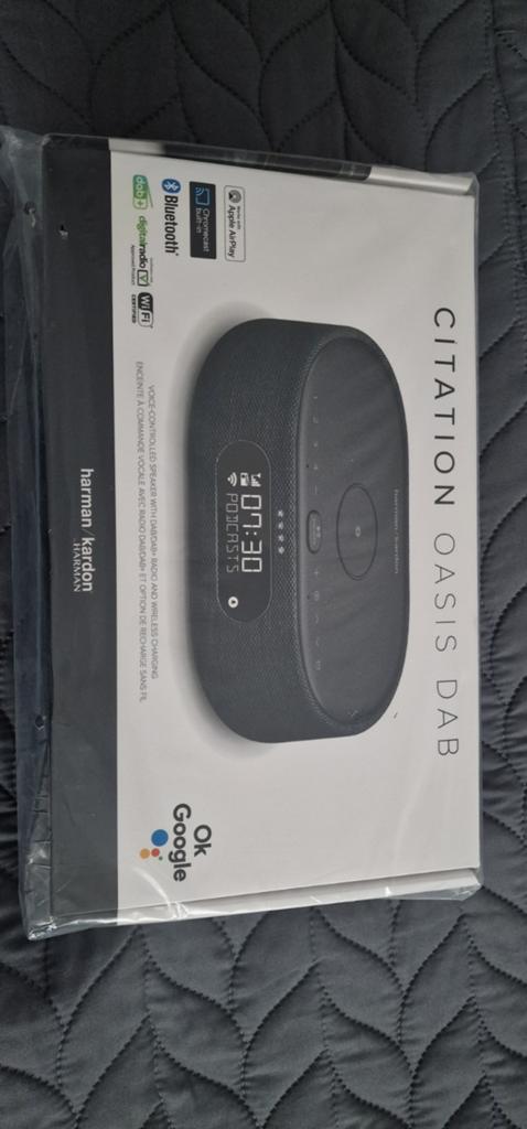 Harman Kardon Citation Oasis DAB Smart Speaker, Ophalen of Verzenden, Nieuw, Radio