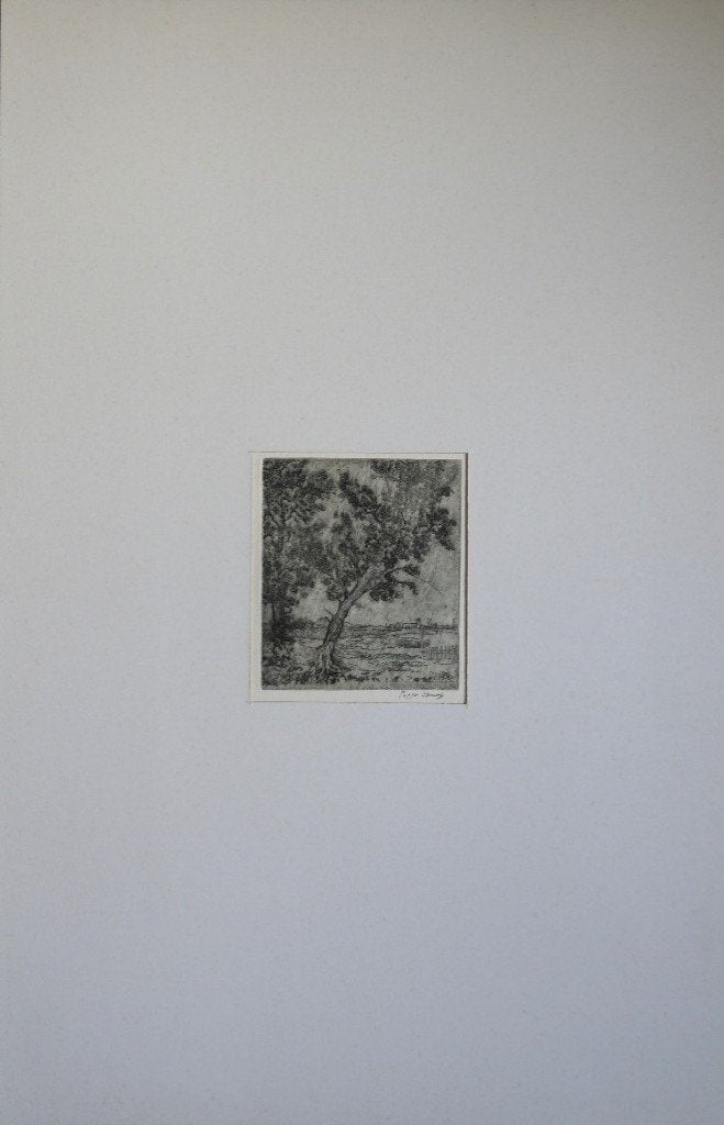 Poppe Damave "Boom in het veld", gesigneerd, Ophalen, Gesigneerd, Landschap, 1950 - 1999