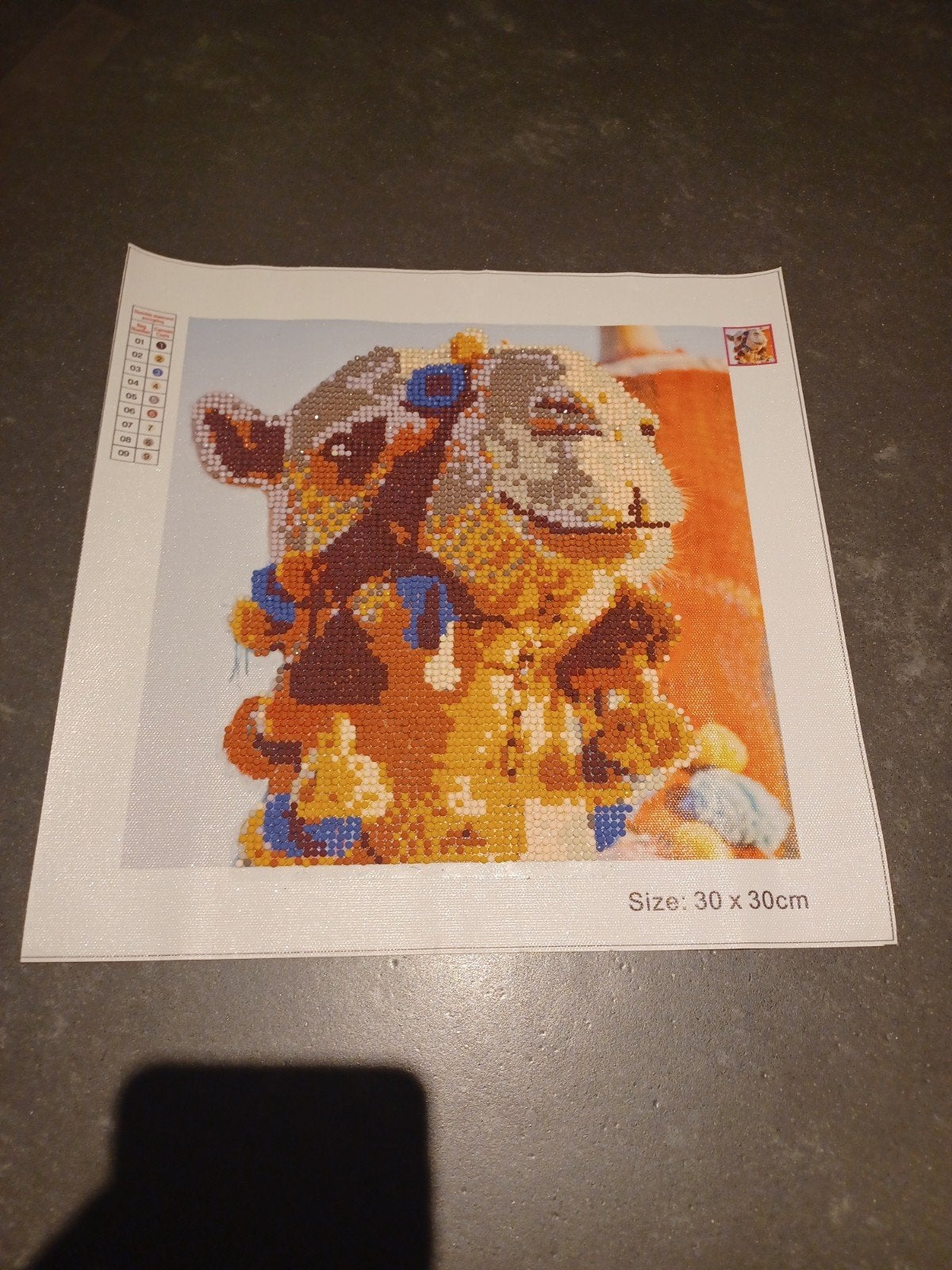 Diamond Painting Kameel 30x30cm, Ophalen, Gebruikt, Handgemaakt, Meerkleurig