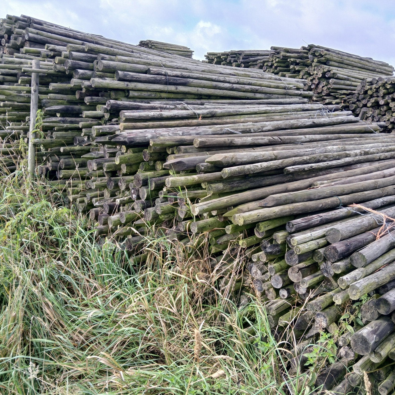 Te koop houten fruitboompalen voor div.  toepassingen, Tuin en Terras, Ophalen, Gebruikt, 250 cm of meer, Palen