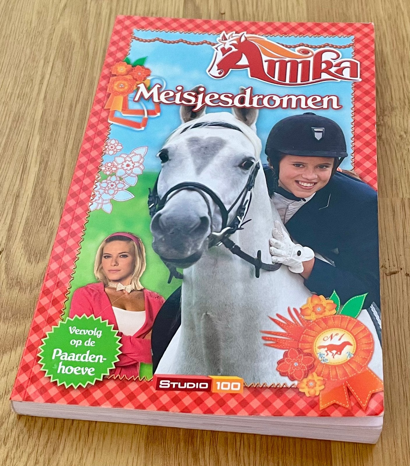 Boek Amika meisjesdromen goede staat, Boeken, Ophalen of Verzenden, Zo goed als nieuw, Fictie