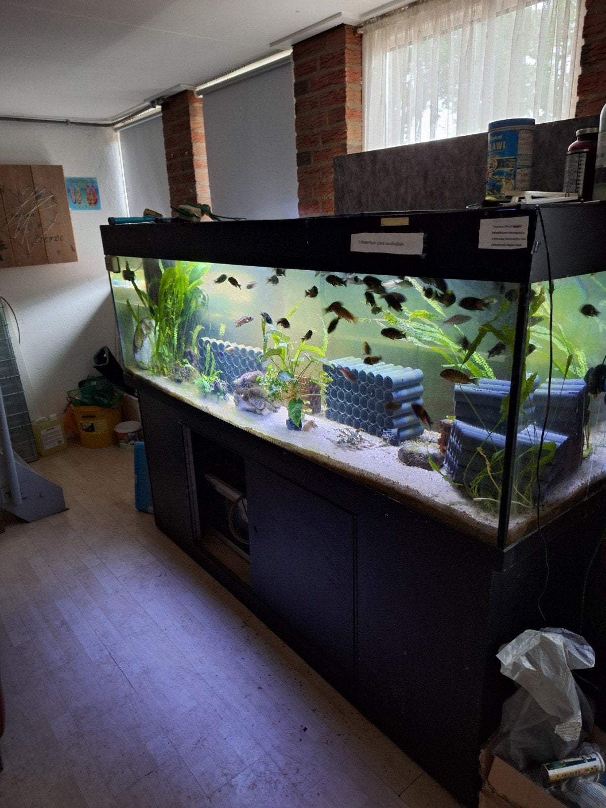 Aquarium 200x60x60  met meubel en bioloog, Dieren en Toebehoren, Vissen | Aquaria en Toebehoren, Ophalen, Inclusief deksel, Gebruikt