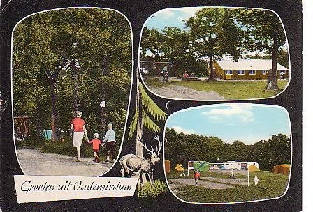Ansichtkaart 	Oudemirdum	Camping De Bosrand	3-luik, Verzenden, 1960 tot 1980, Gelopen, Friesland