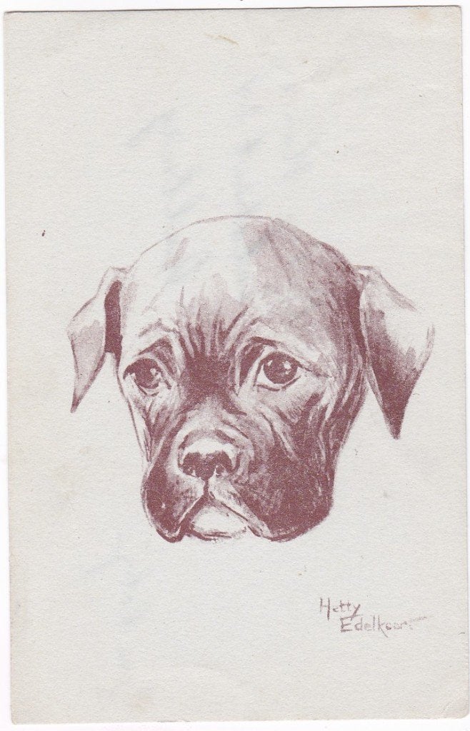 Haarlem -Kennemer dierentehuis - Illustr. Hetty Edelkoort, Ophalen, 1940 tot 1960, Gelopen, Noord-Holland