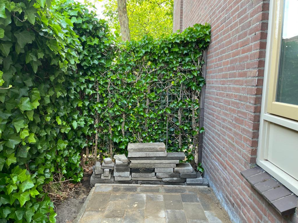 Bandjes, tegels gratis, Tuin en Terras, Tegels en Klinkers, Ophalen