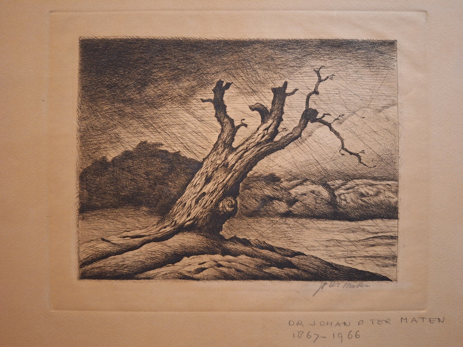 Ets 'Storm door' van Johan Pieter ter Maten (1879-1966), Ets, Ophalen of Verzenden, Landschap, Origineel