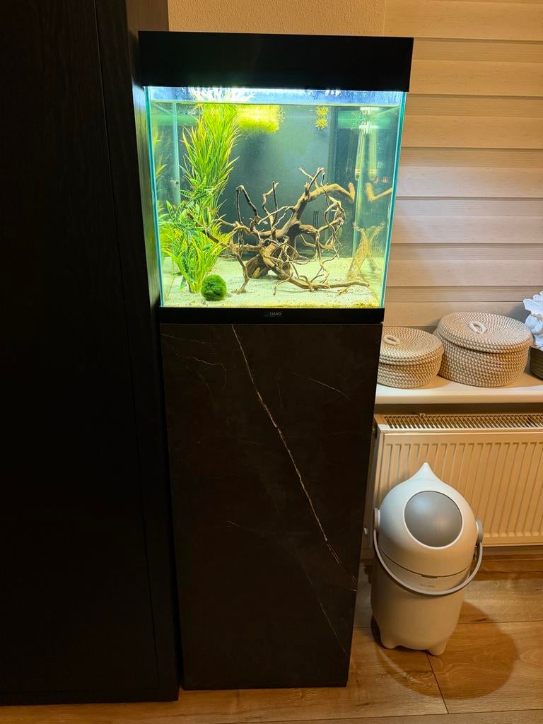 Ciano aquarium met kast, Ophalen, Zo goed als nieuw, Gevuld zoetwateraquarium