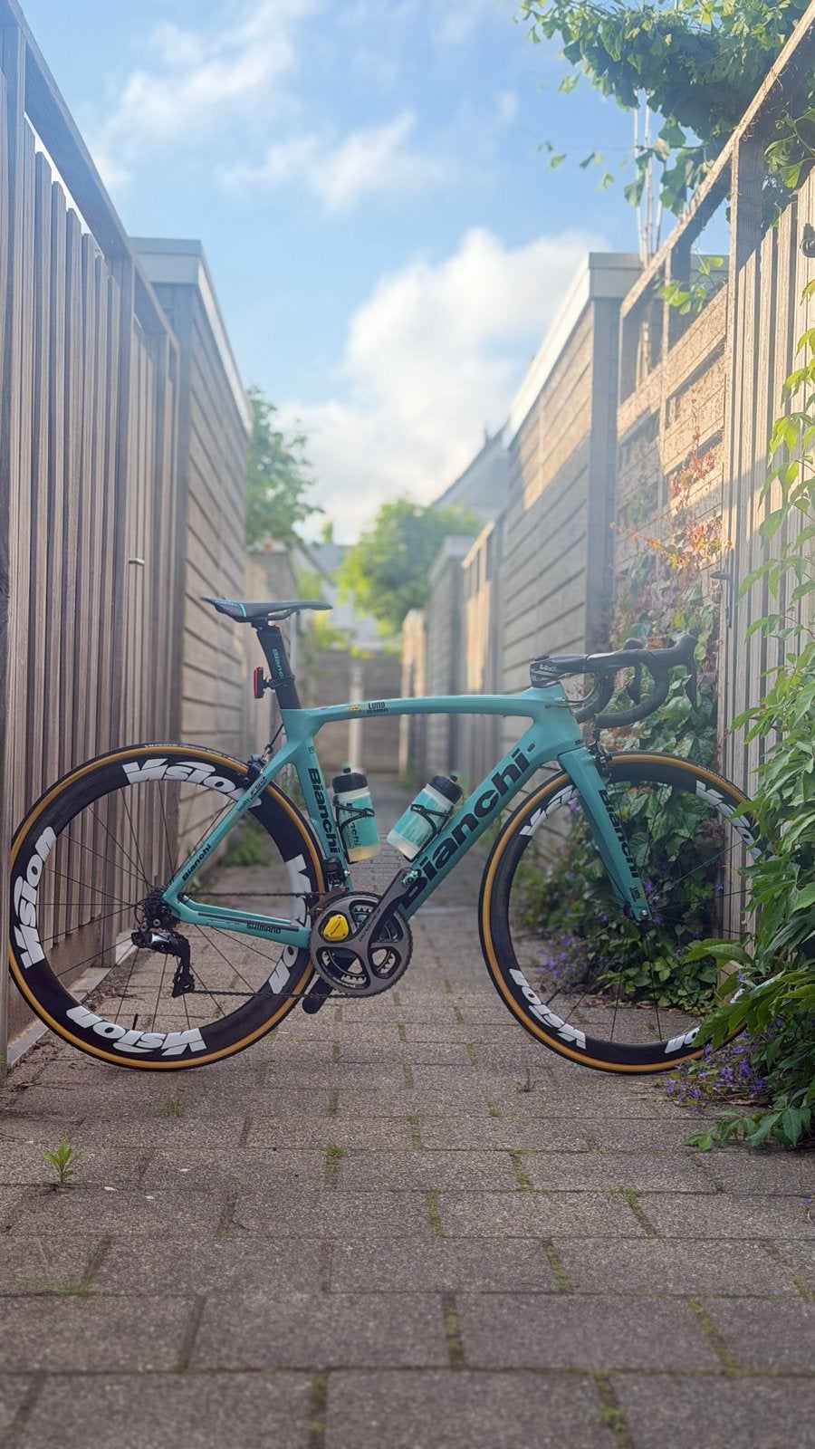 Bianchi racefiets met Carbon wielen en Garmin Edge 1030, 28 inch, Gebruikt, Carbon, Meer dan 20 versnellingen