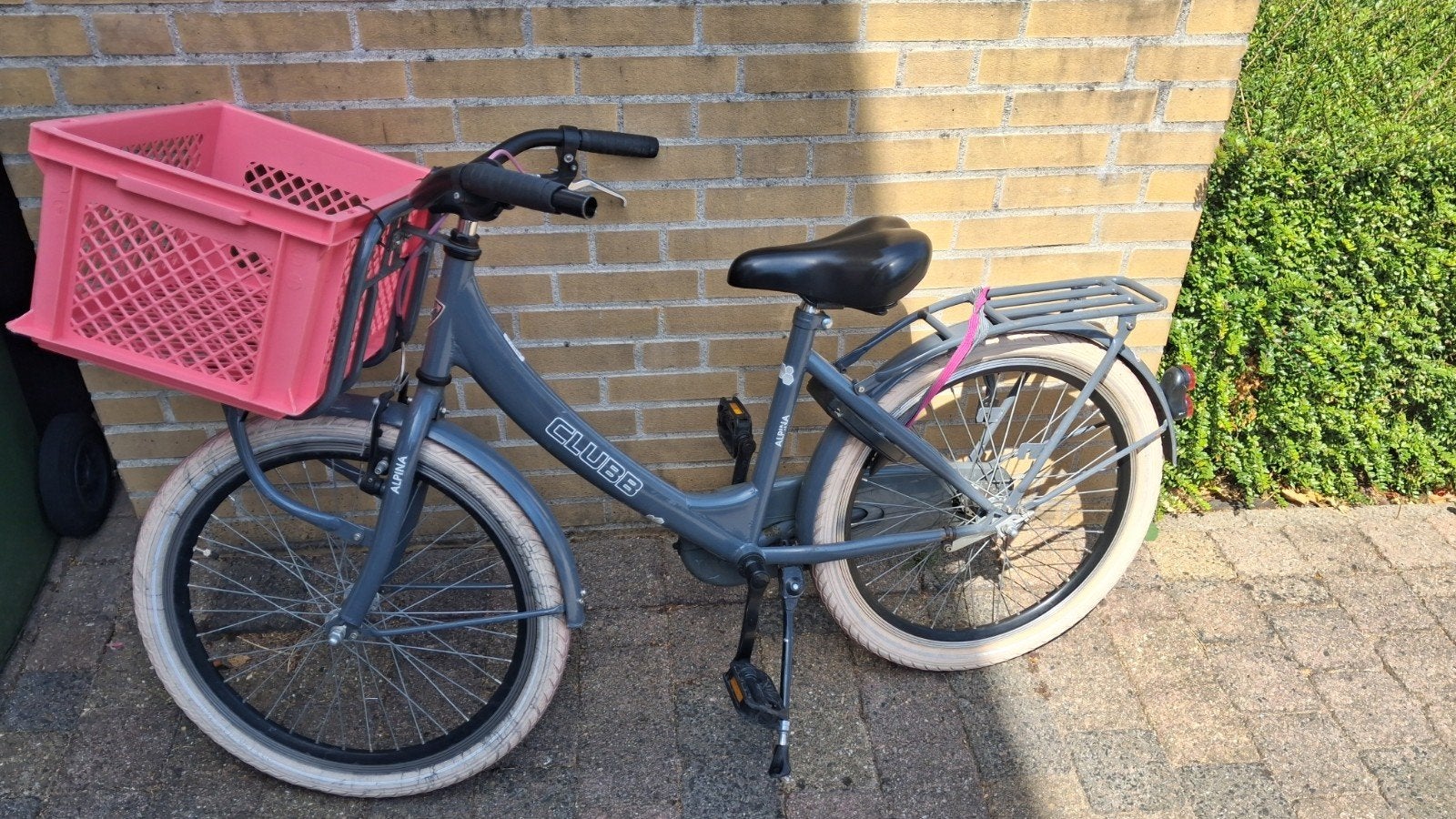 Alpina Clubb Meisjesfiets 20 inch met Roze Krat, Ophalen, Terugtraprem, Gebruikt, Alpina