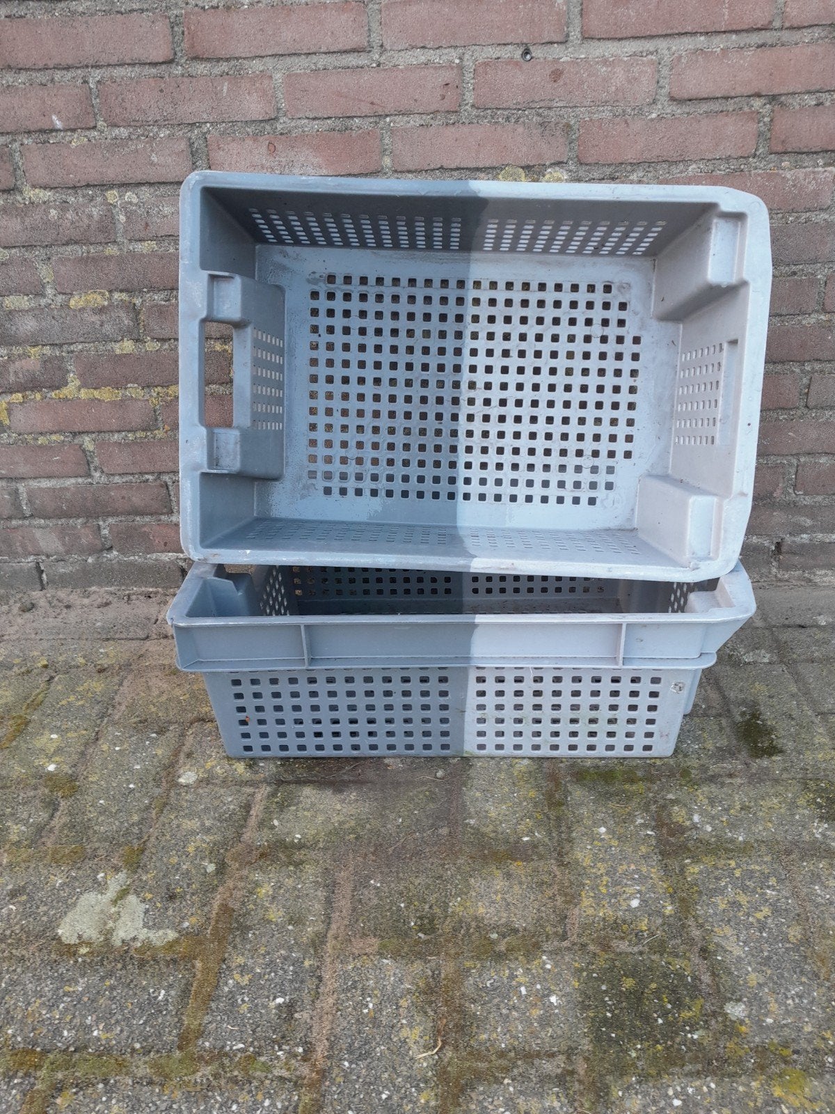 Div. soorten Kunststof Kratten, Ophalen, 40 tot 60 cm, 50 tot 75 cm, Zo goed als nieuw