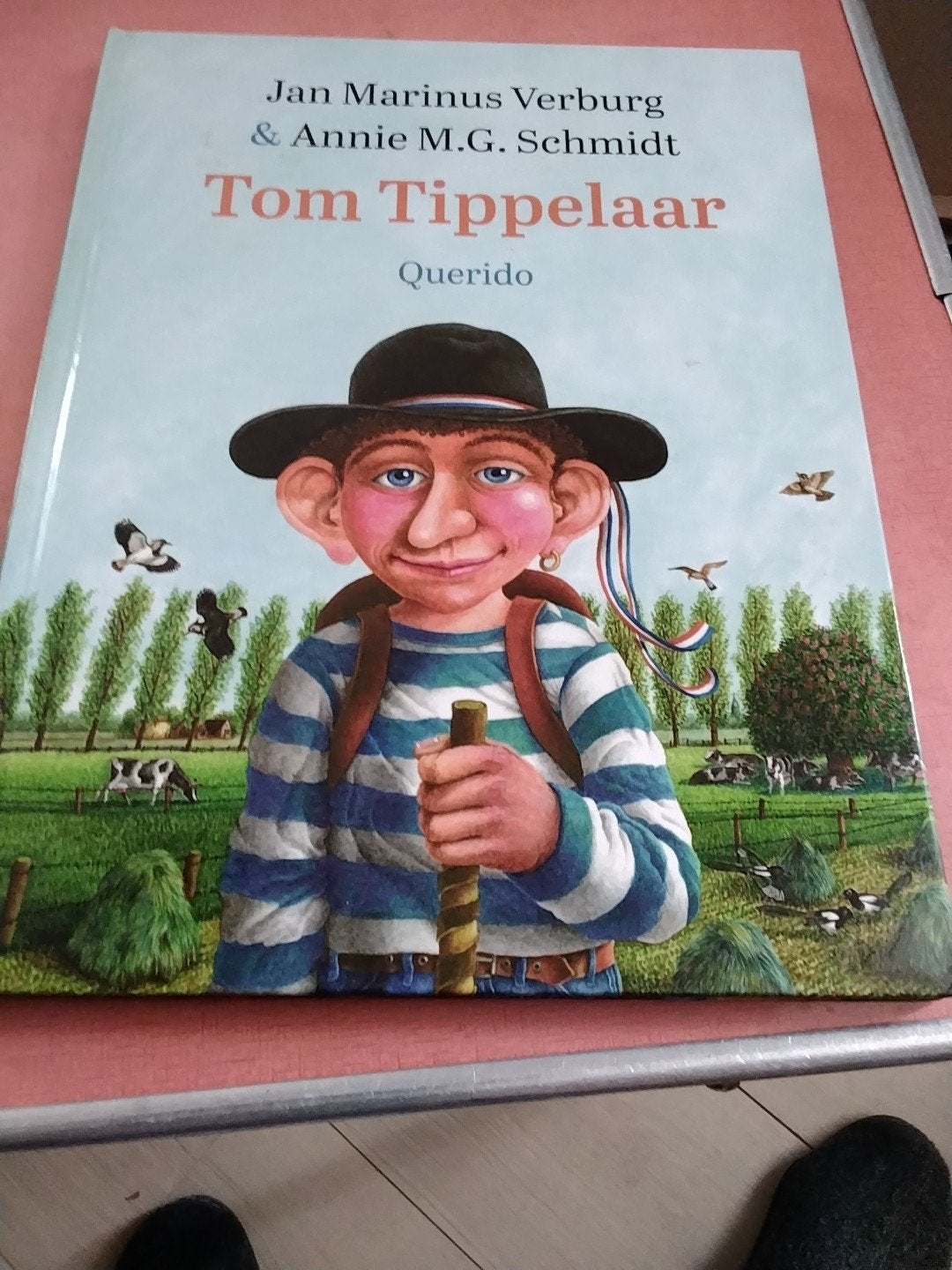 Jan marinus verburg € annie m.g schmidt Tom tipelaar €7.50, Boeken, Ophalen of Verzenden, Zo goed als nieuw, Fictie algemeen