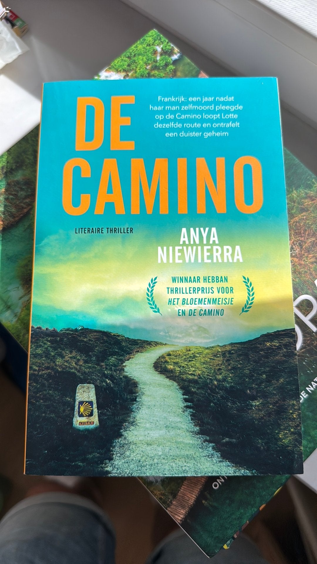 Anya Niewierra - De Camino, Boeken, Ophalen of Verzenden, Zo goed als nieuw, Anya Niewierra