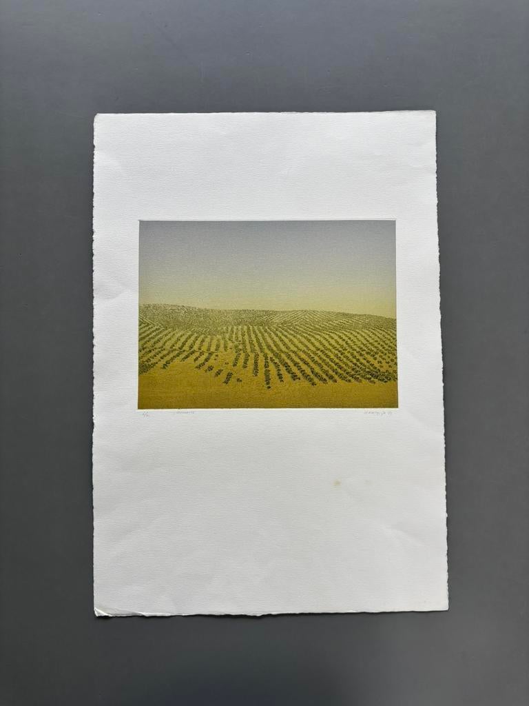 Ets “Heuvels I”, H. Kastelijn, 1983, Ophalen of Verzenden