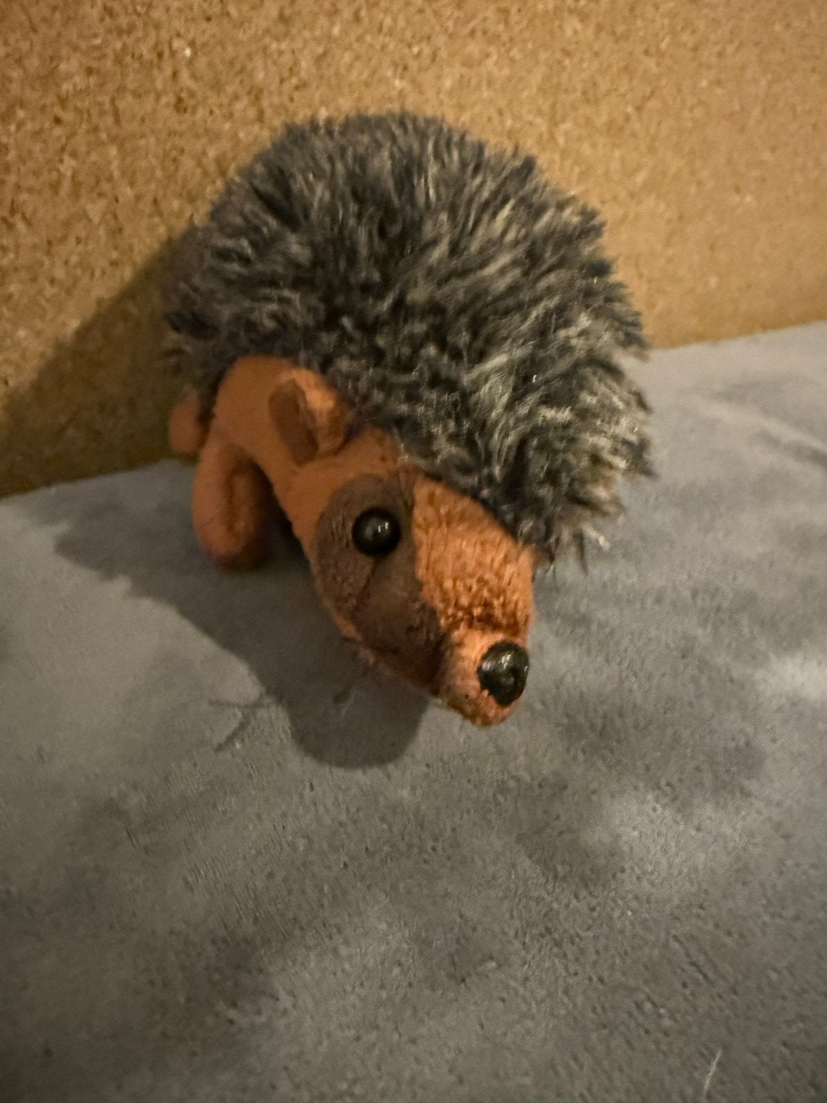 Leuke egel knuffel, Overige typen, Ophalen of Verzenden, Zo goed als nieuw, Klein (minder dan 20 cm)