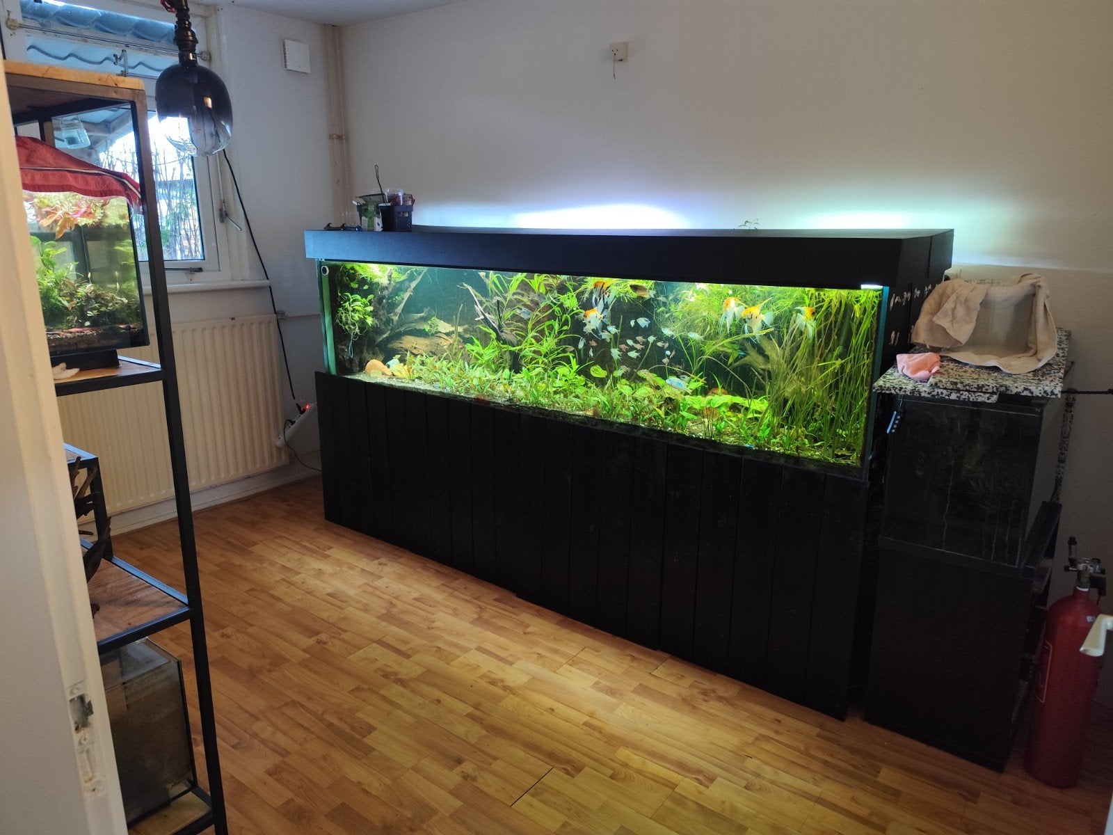leeg aquarium, 2,70 x 60 x 60 T.E.A.B, Dieren en Toebehoren, Vissen | Aquaria en Toebehoren, Ophalen, Gebruikt, Leeg aquarium
