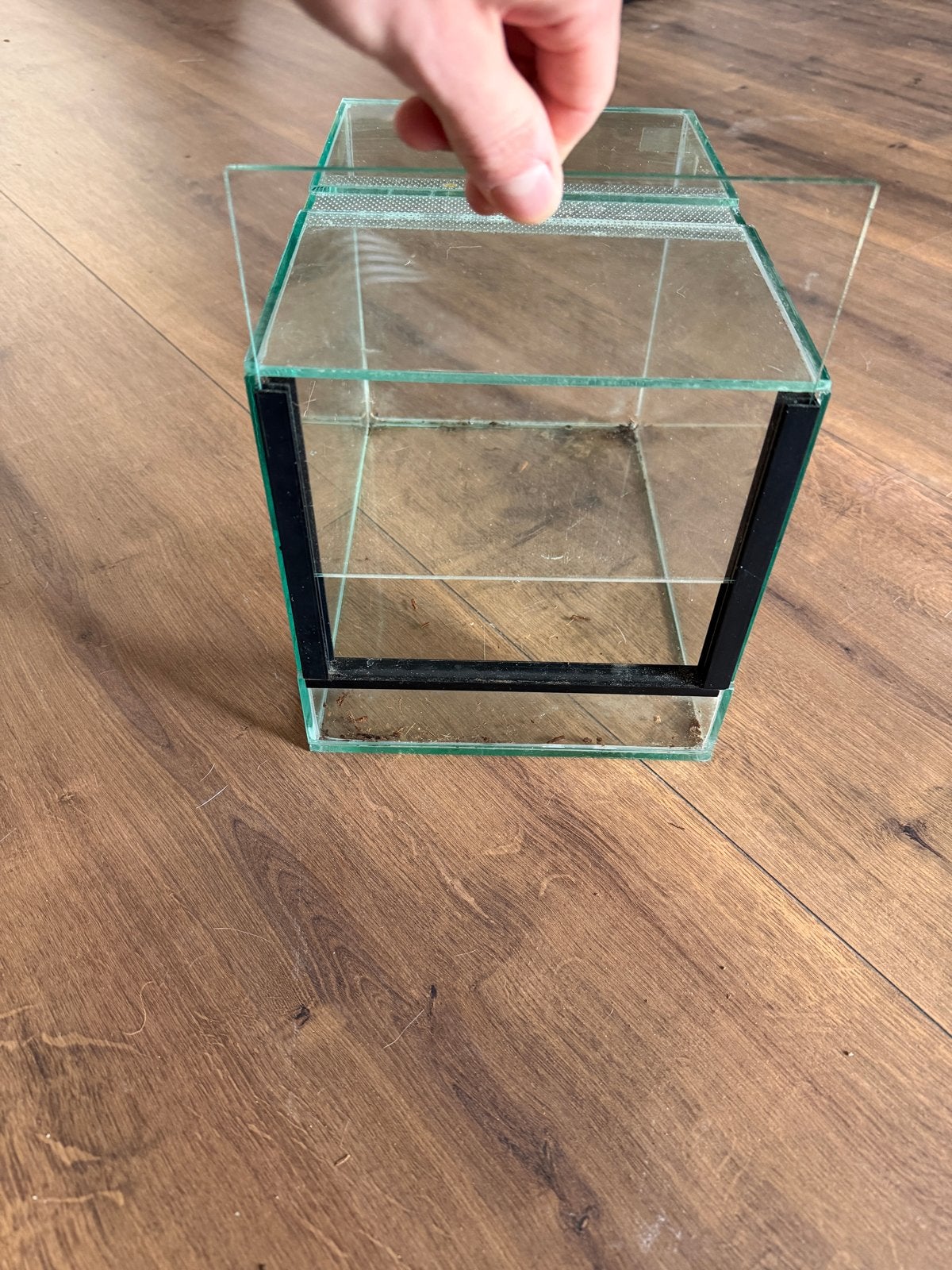 Terrarium, Ophalen