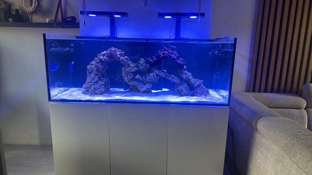Zeewater aquarium aqua medic armatus 575XD, Ophalen