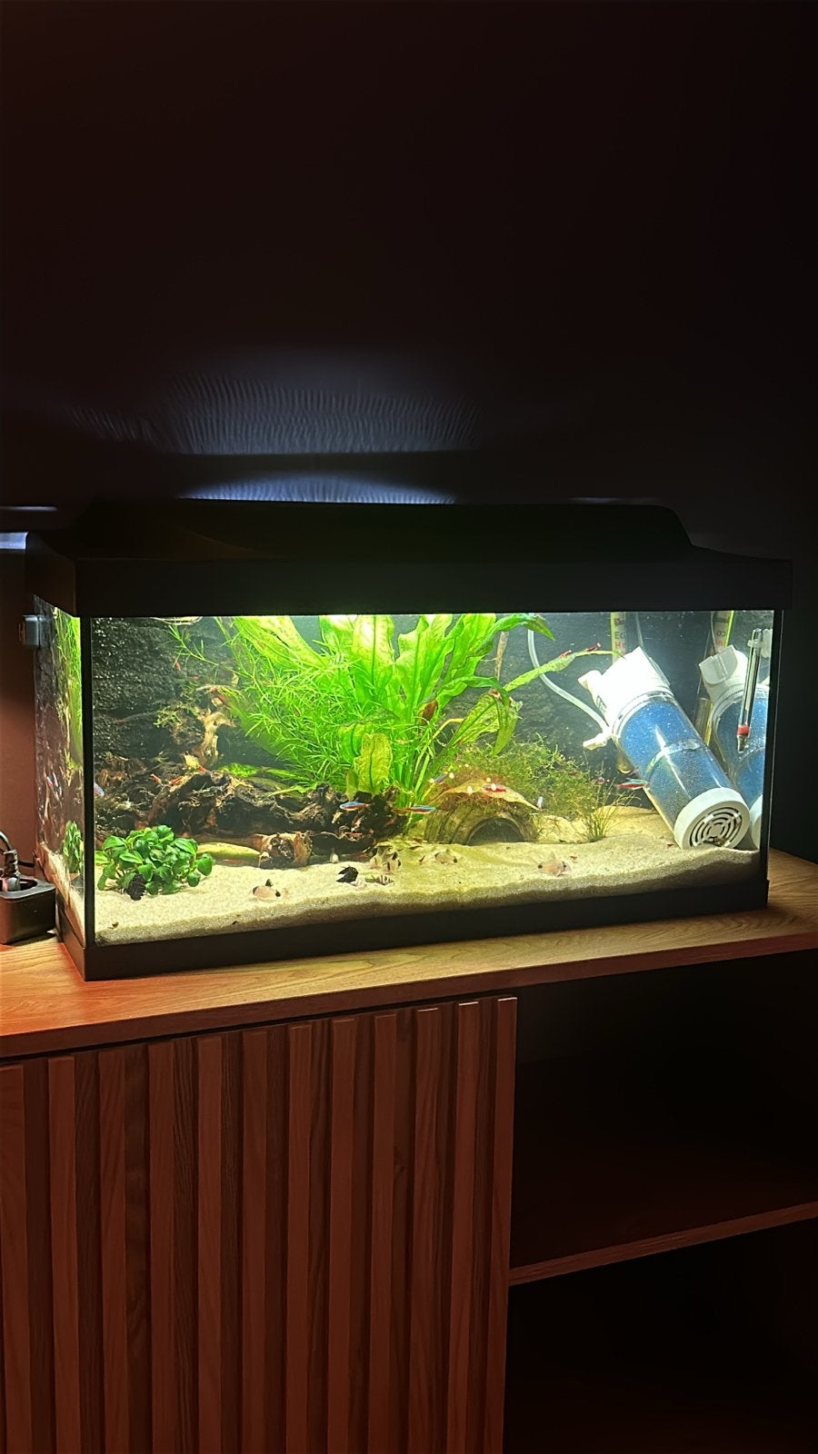 Aquarium, Dieren en Toebehoren, Vissen | Aquaria en Toebehoren, Ophalen of Verzenden, Zo goed als nieuw